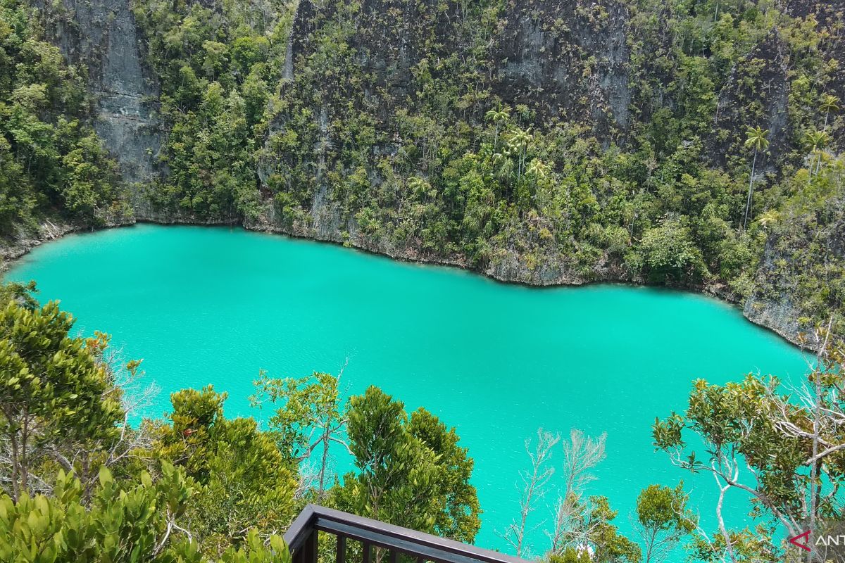 Tambah empat, pasien positif COVID-19 di Raja Ampat jadi 14 kasus