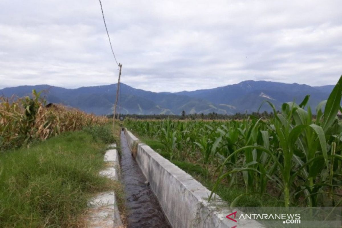 SIMURP dikembangkan untuk dongkrak produksi pangan di daerah irigasi