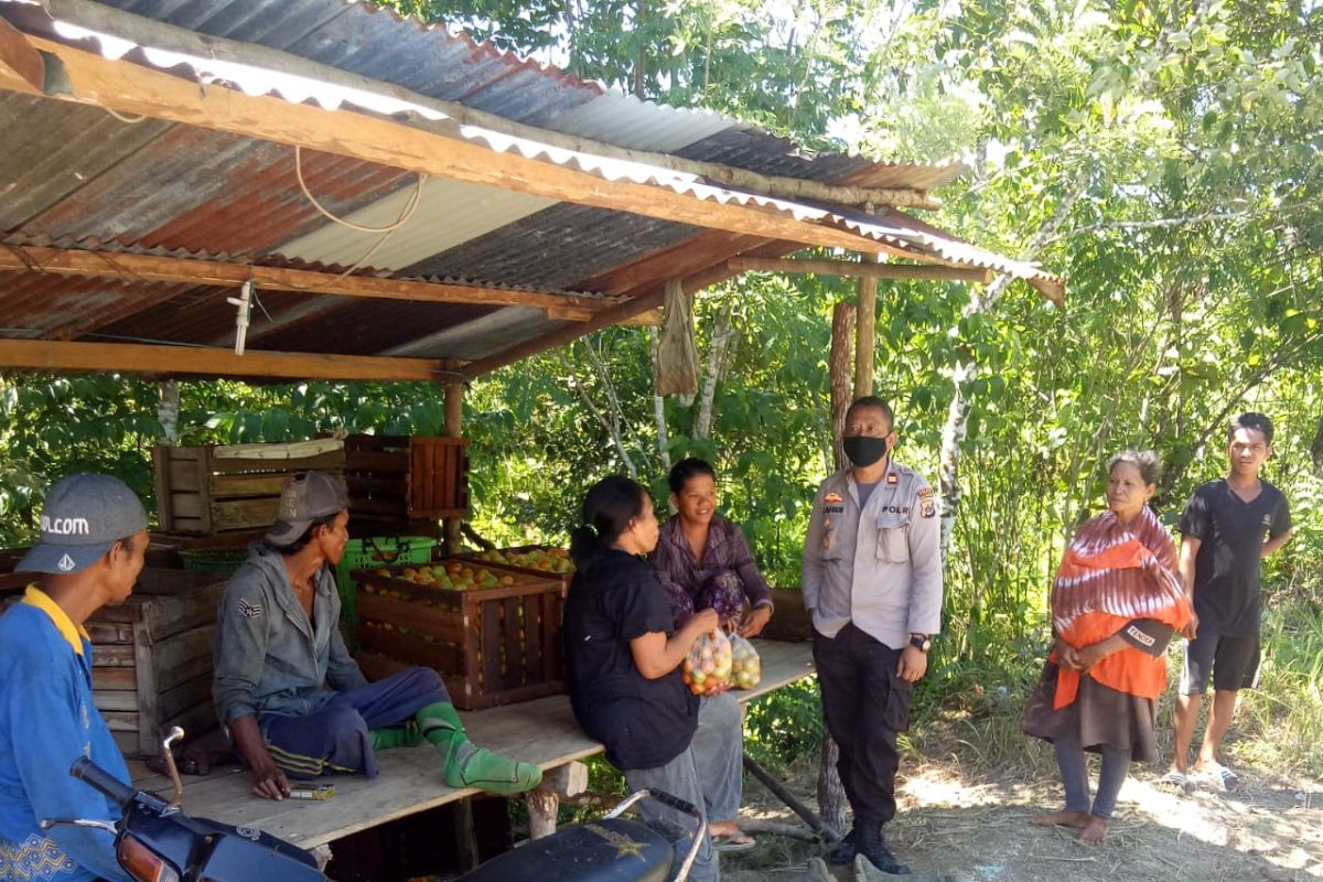 Polsek Yendidori Biak sosialisasi pencegahan COVID-19 di kelompok tani Suneri