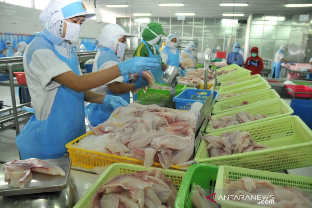 Price of fisheries products down 50% amid COVID-19