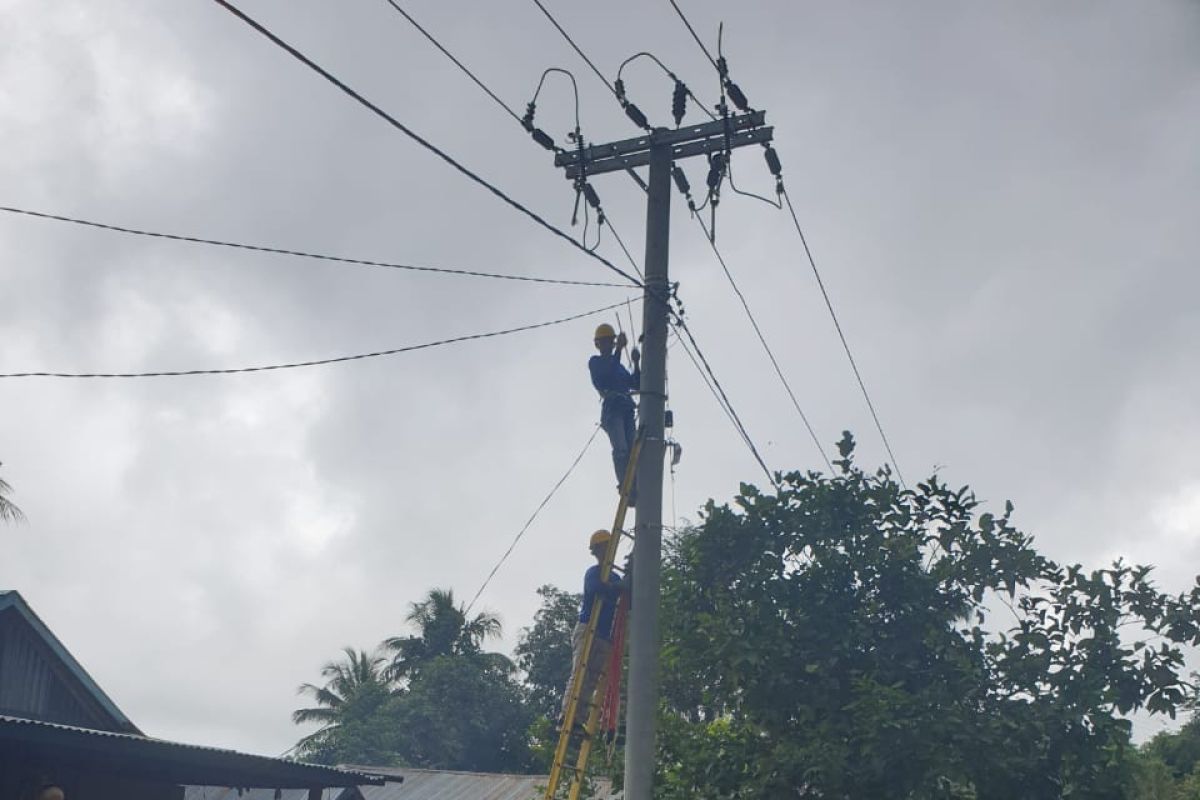 PLN terangi empat dusun di Sulawesi Selatan saat pandemi COVID-19