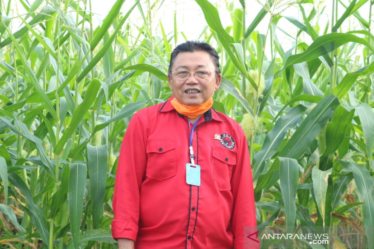 Cornelis imbau masyarakat bercocok tanam di tengah pandemi corona