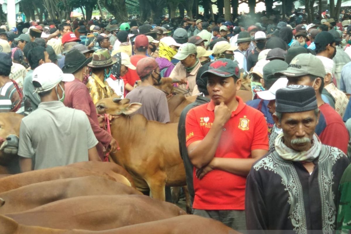 Pedagang-pembeli abaikan protokol kesehatan COVID-19,   Pemkot Probolinggo tutup pasar sapi Wonoasih