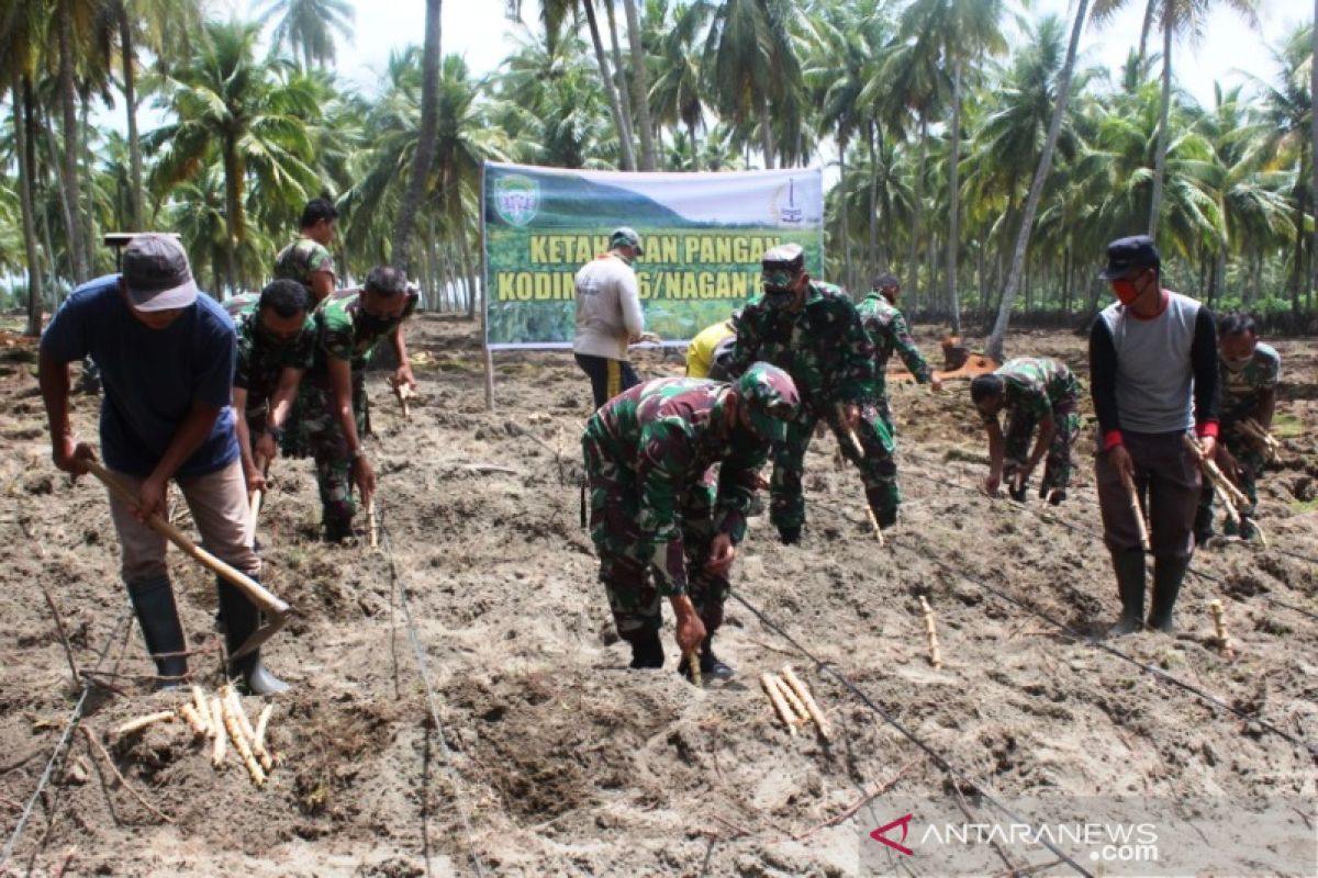 Kodim Nagan Raya tingkatkan ketahanan pangan bersama petani