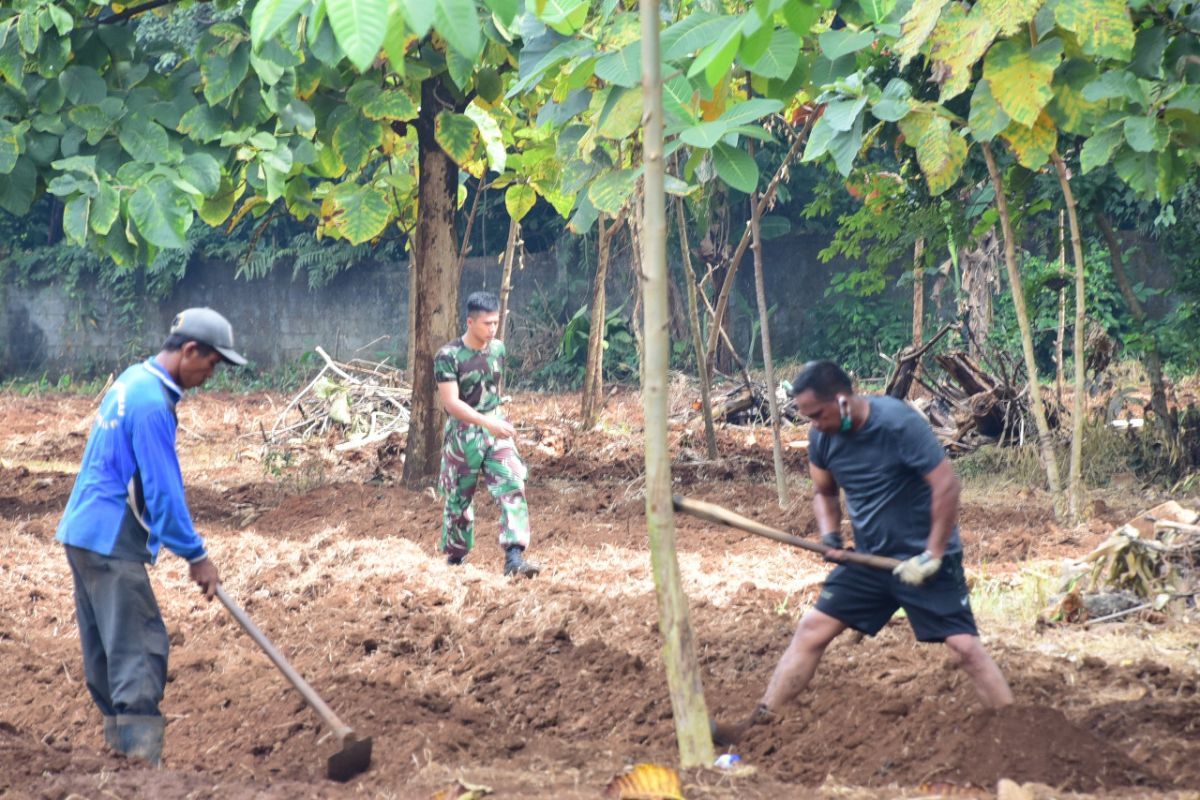 Lantamal VI siapkan lahan pembibitan sayur mayur dukung pemerintah