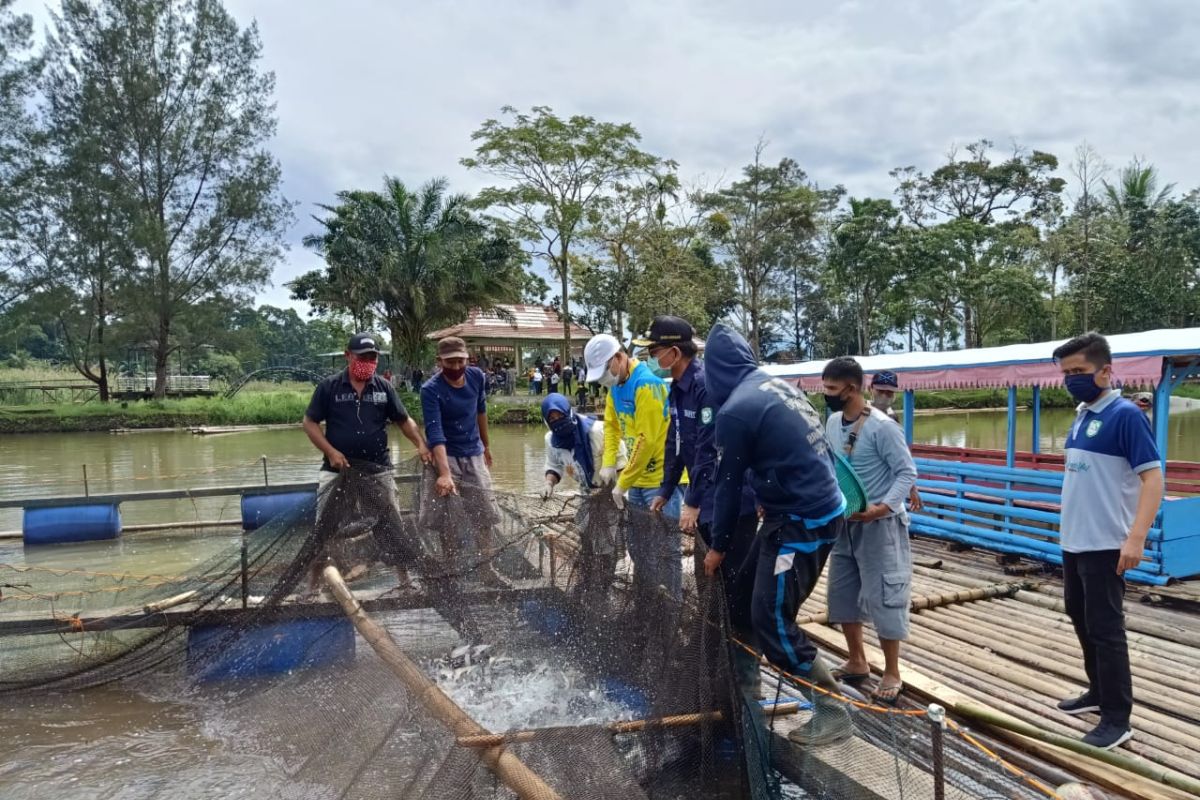 Gubernur borong 12 ton hasil pertanian warga Bengkulu