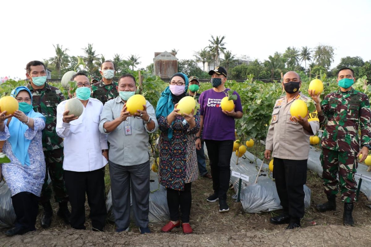 Distan Banten dukung lahan tidur dimanfaatkan untuk penguatan pangan