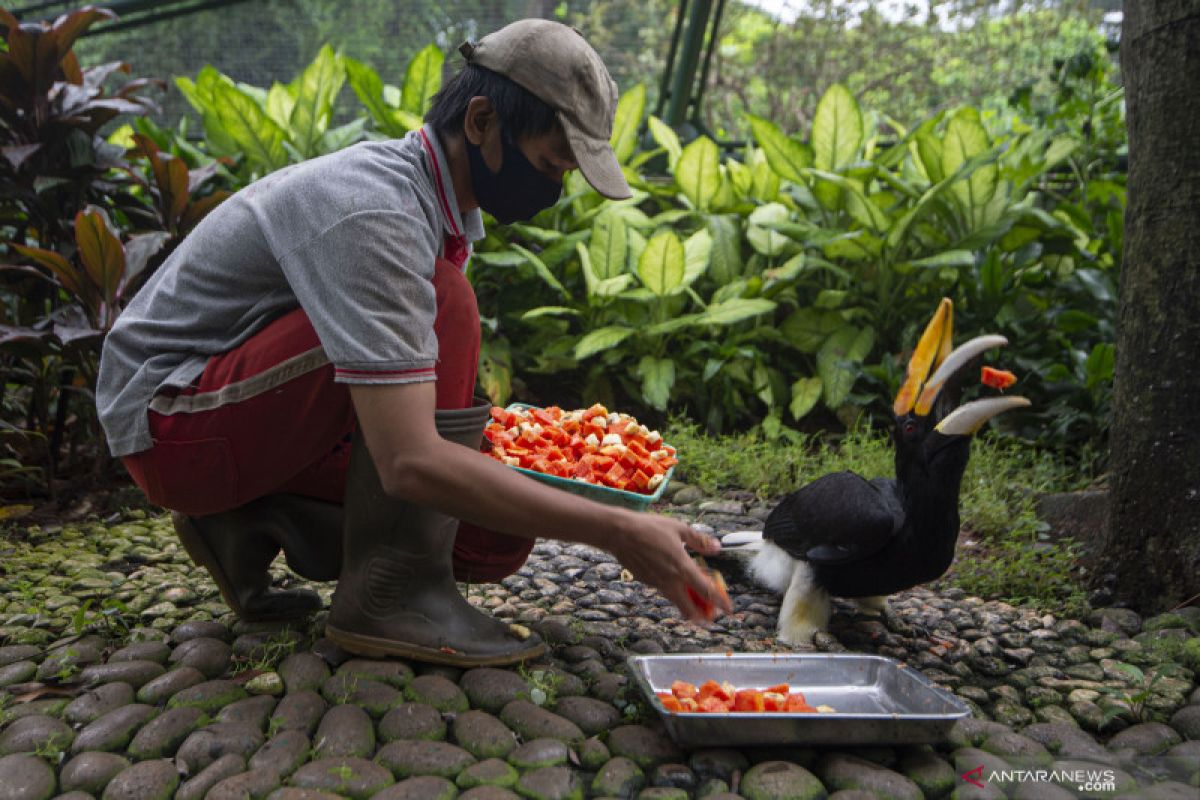 TMII hanya terima sepertiga wisatawan saat normal baru