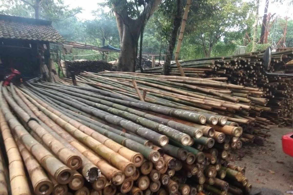 Dampak COVID-19, pendapatan petani bambu di Lebak jadi merosot