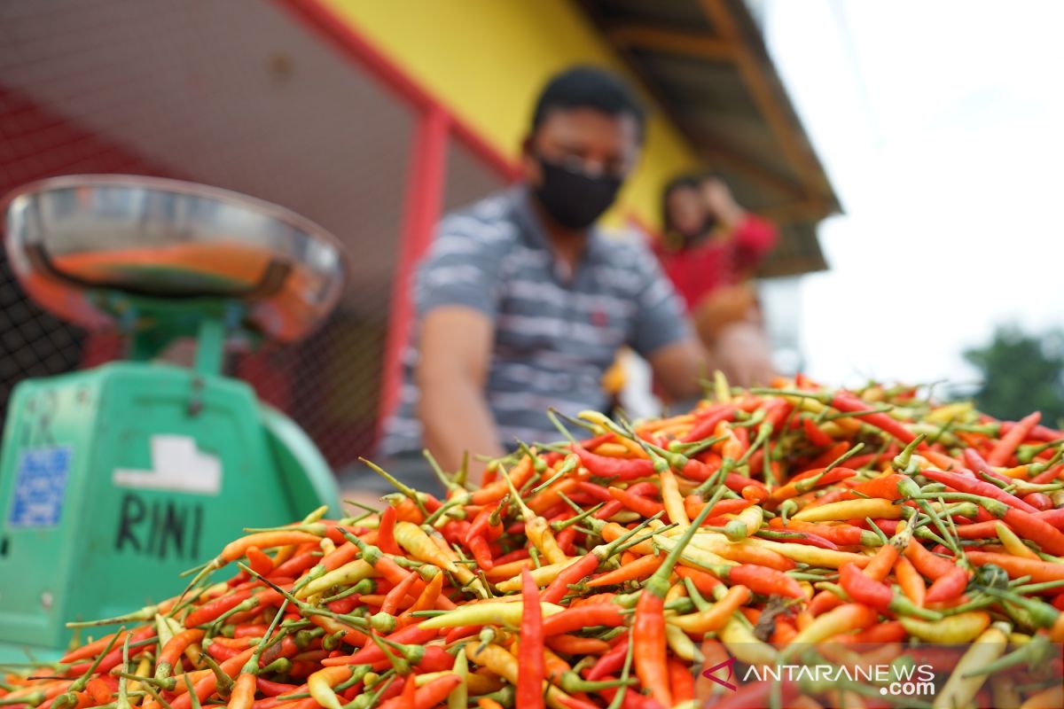 Jelang Natal dan Tahun Baru 2021, harga cabai  di Lebak melonjak