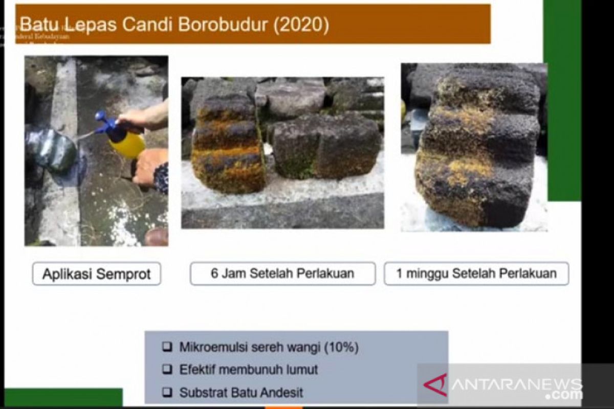 BKB to use citronella oil to preserve Borobudur Temple