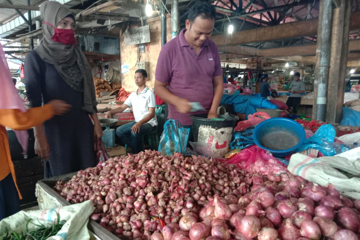 Harga bawang merah diperkirakan normal Juni, seiring panen di daerah sentra produksi