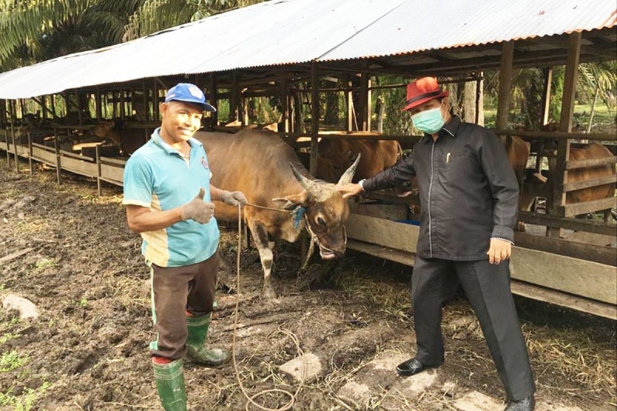 Jadi peternak sukses, politisi Gerindra ini bina masyarakat ikuti jejaknya