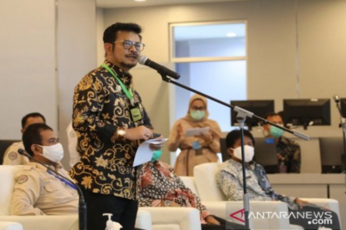 Percepat tanam, Mentan ajak bupati/gubernur tanam padi jagung serentak