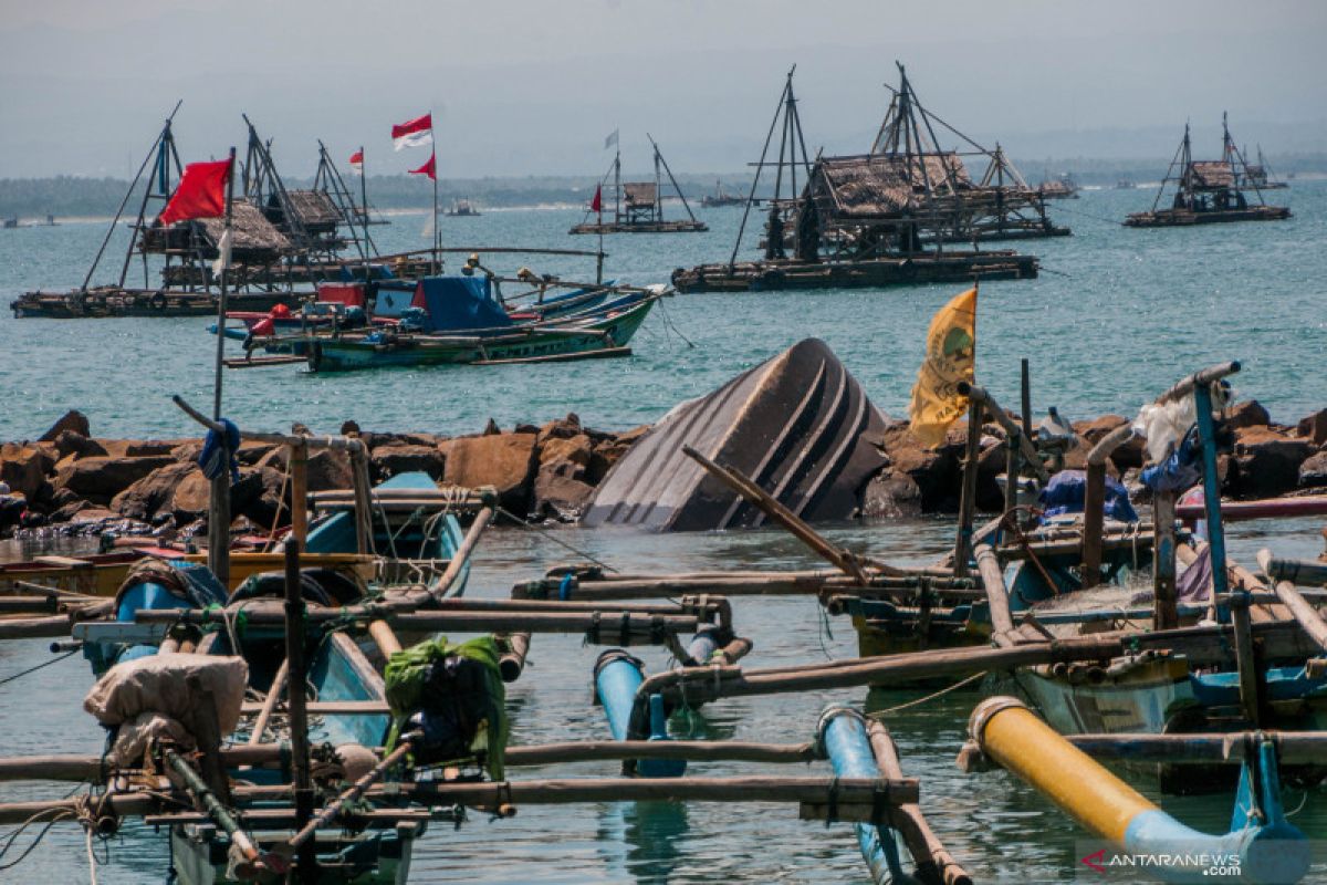 Kadin: Pemerintah diharapkan beli hasil tangkapan nelayan