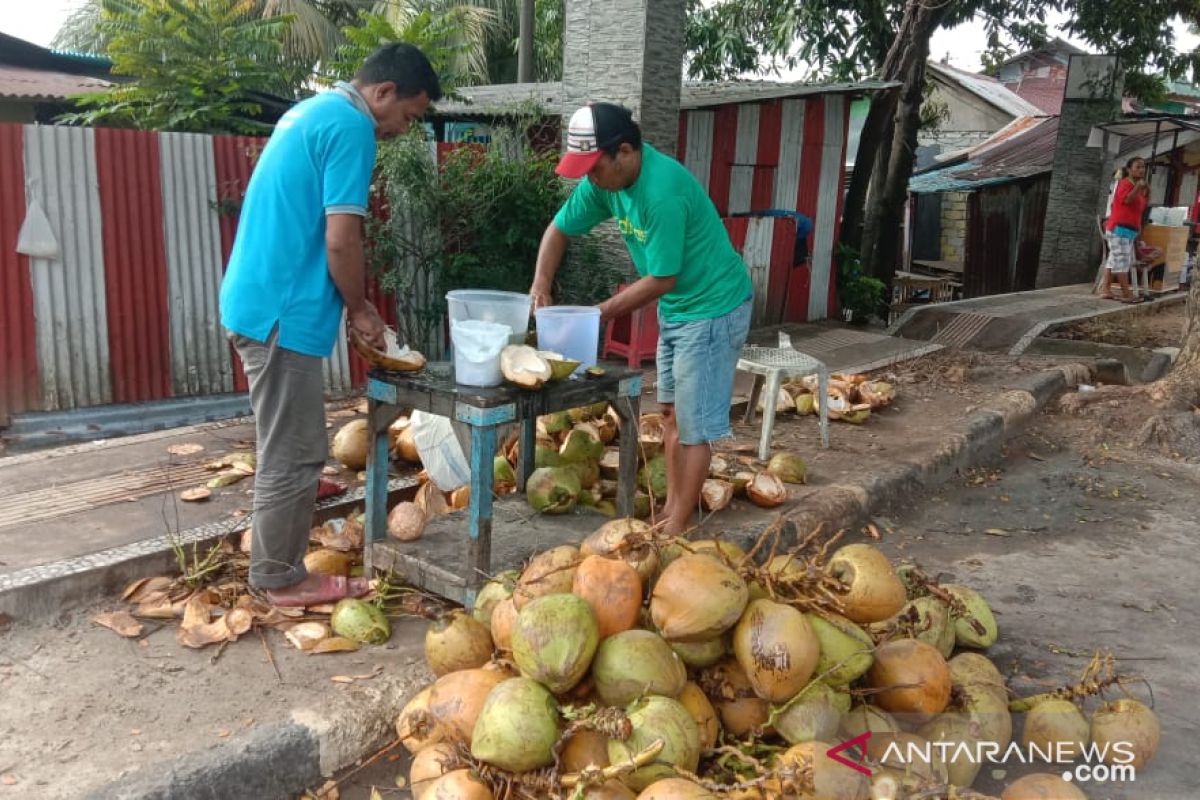 Pedagang buah kelapa muda di Ambon panen rejeki
