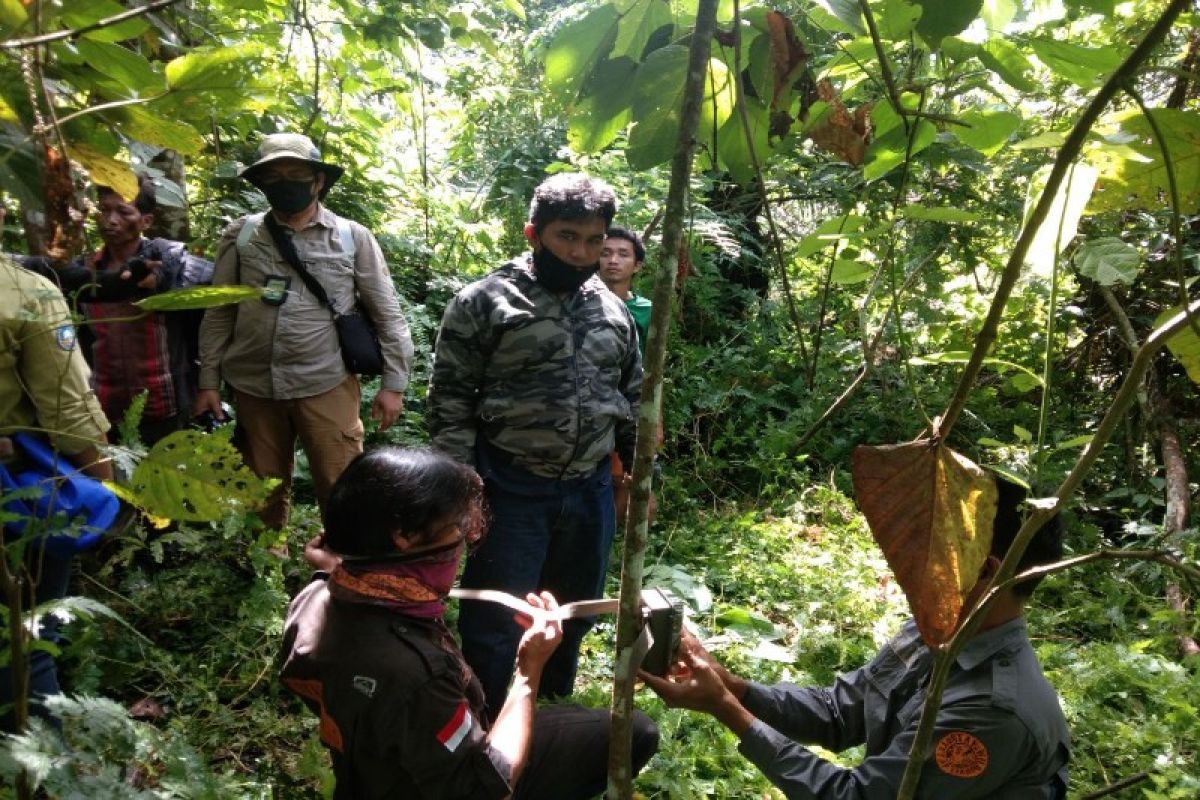 Tim TNGL pasang kamera trap di lokasi lembu warga Batang Serangan Langkat dimangsa harimau