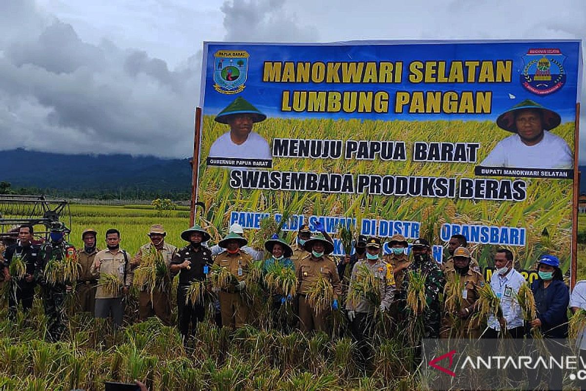 Pemprov Papua Barat siap serap padi petani dimasa pandemi