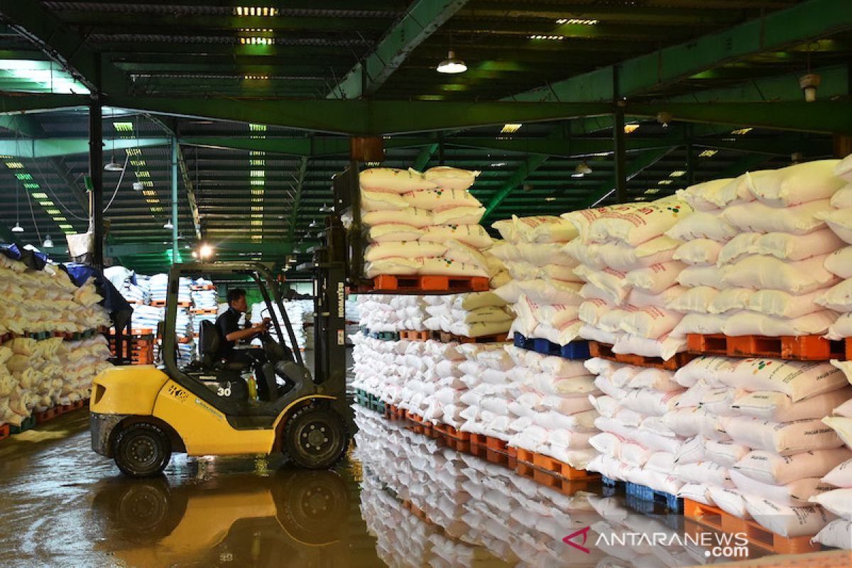 Pusri salurkan pupuk urea bersubsidi 500 ribu ton lebih