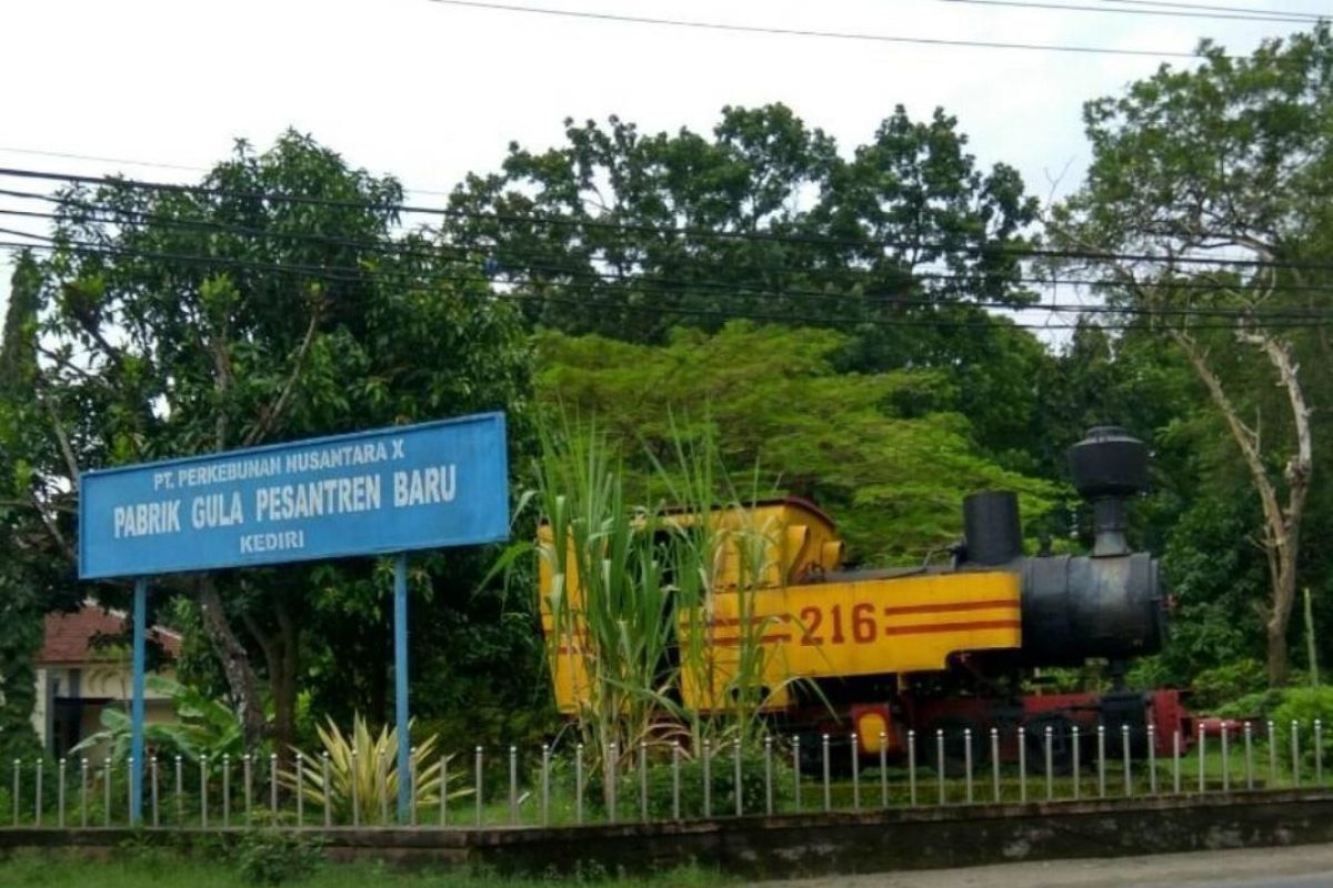 PG Pesantren Baru diminta terapkan protokol COVID-19 saat giling tebu