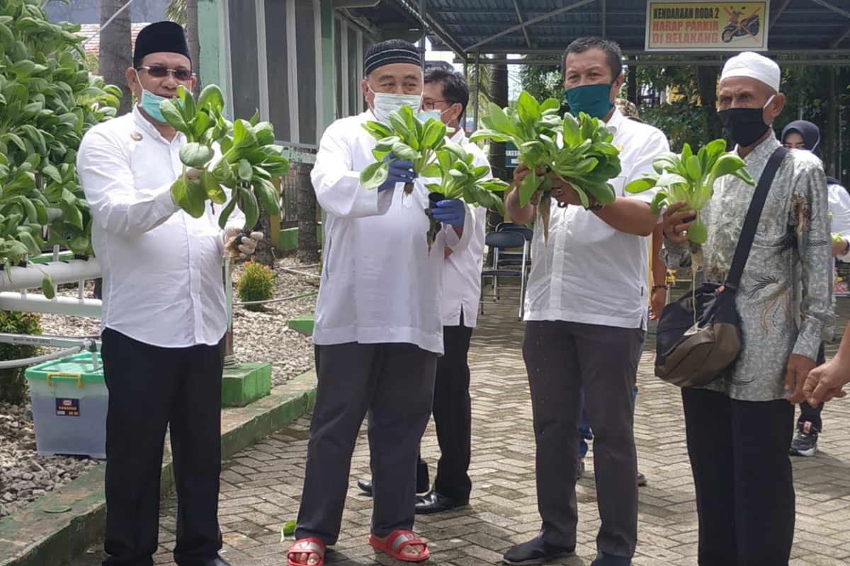 Bupati dan Ketua TP-PKK panen sayur hidroponik