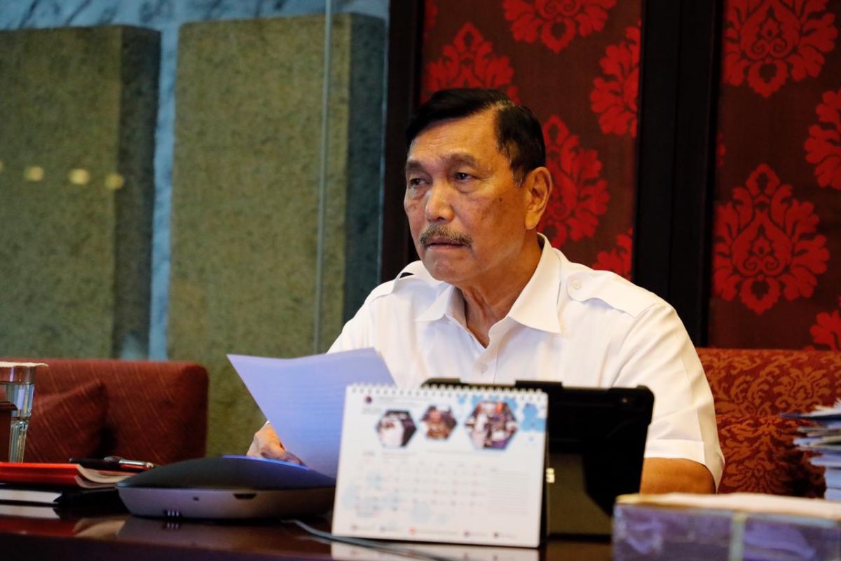 Minister Luhut plans to ease social restrictions in some regions