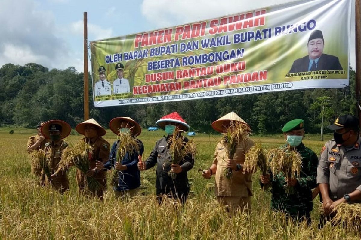 Kabupaten Bungo siap berkontribusi jaga pangan Indonesia