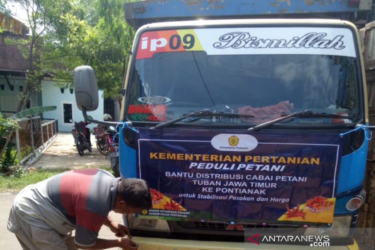 Perusda Kalbar datangkan cabai rawit dari Tuban untuk stabilisasi harga