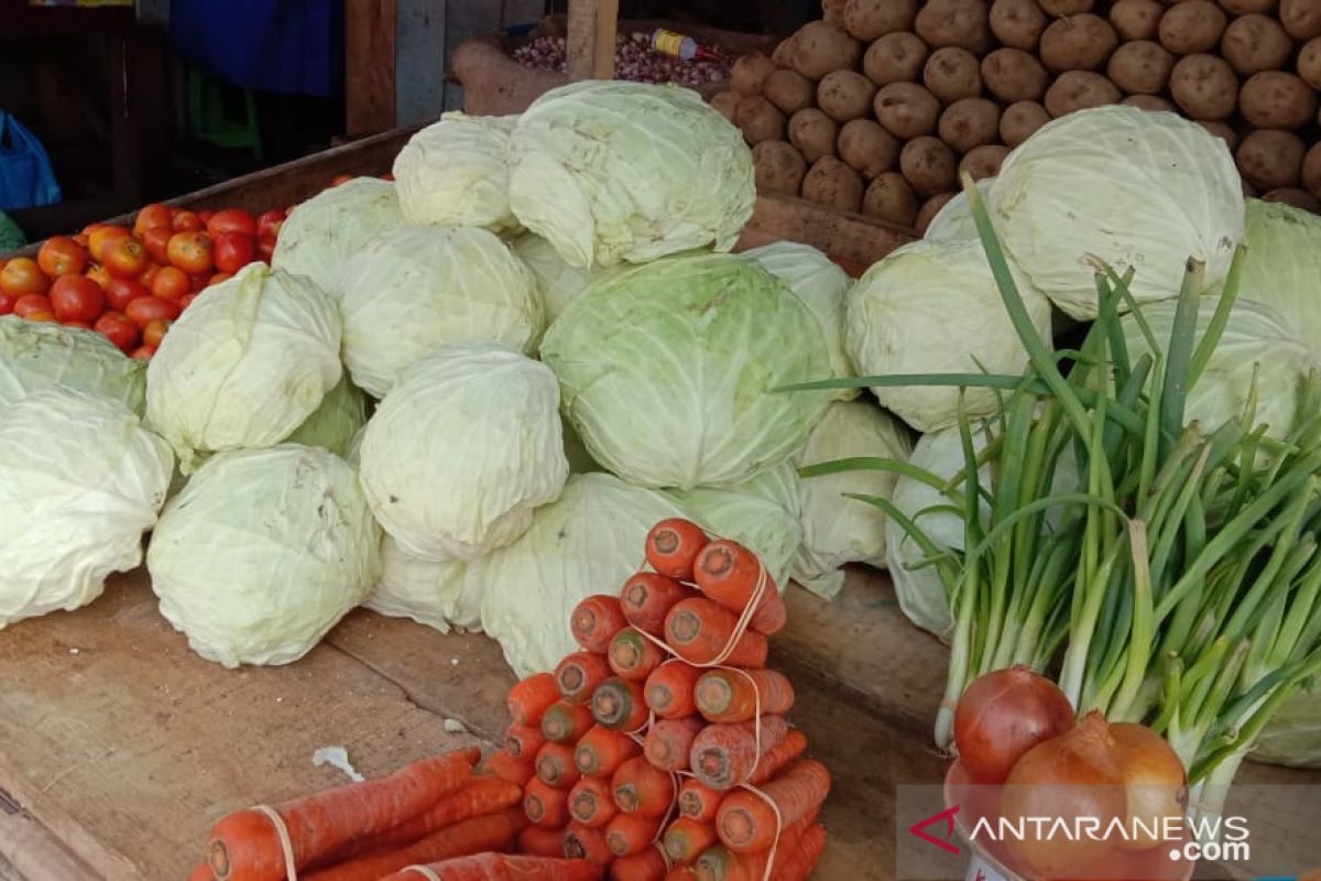 Stok sayur kol di pasar Ambon menipis, harga melonjak