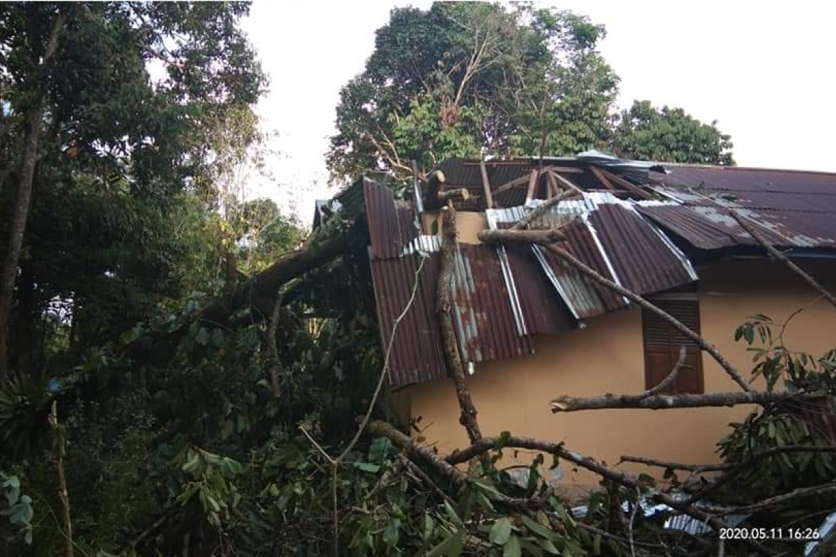 Satu gereja di Kapuas Hulu rusak berat tertimpa pohon tengkawang