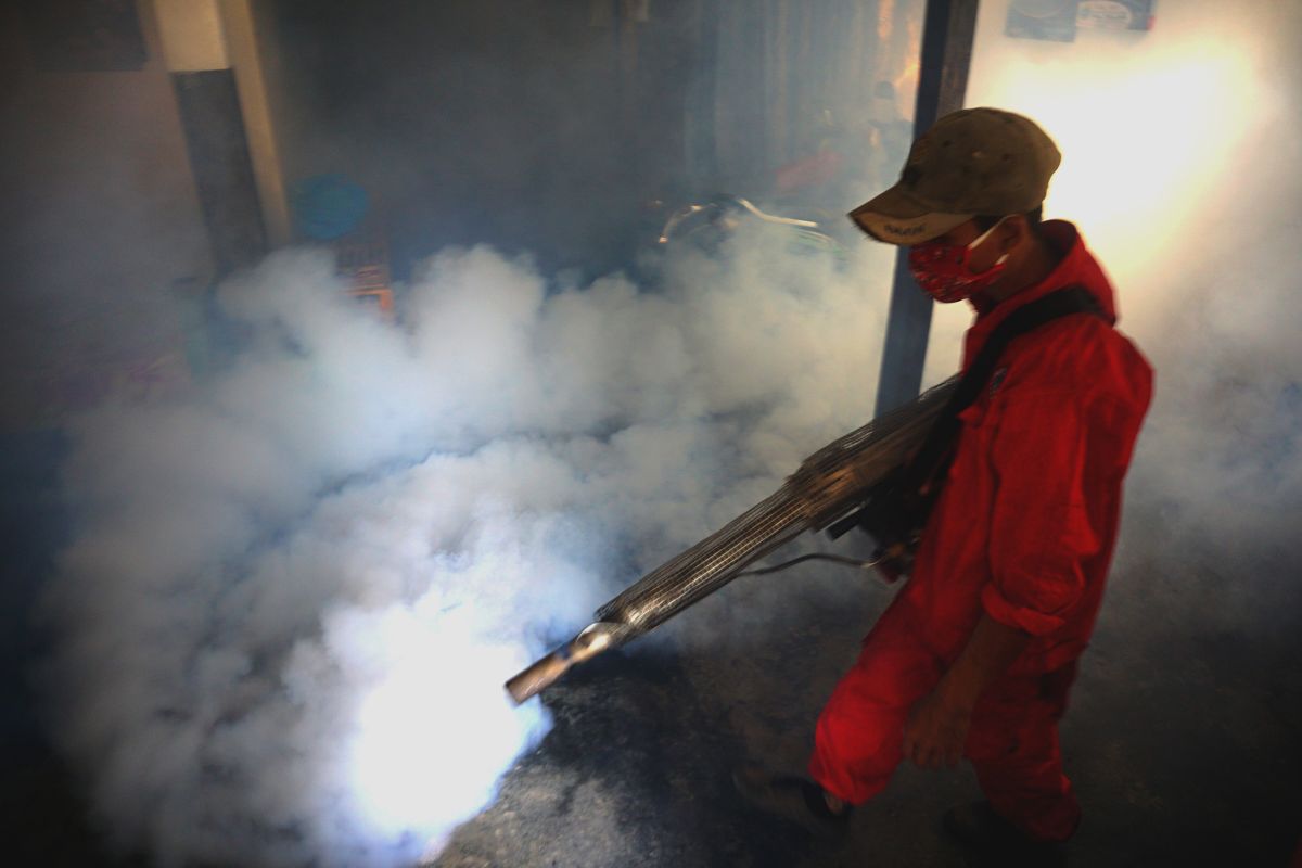 Puluhan warga Tulungagung mengidap penyakit chikungunya