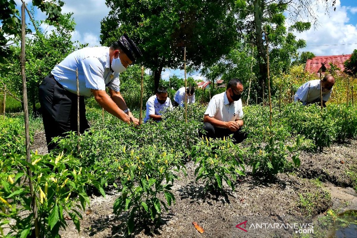 Antisipasi berbagai kendala pertanian di Kalteng