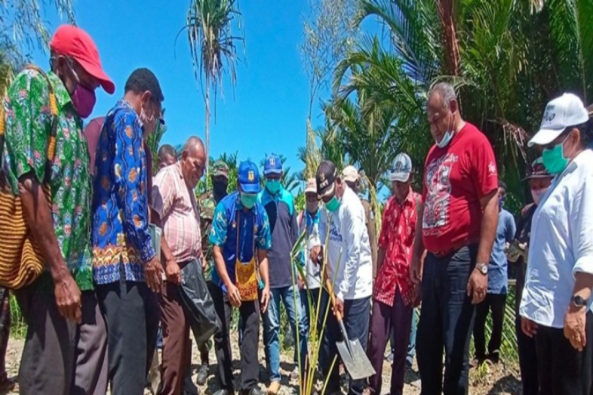 Bupati Jayapura ajak warga Sentani menanam sagu di tengah pandemi COVID-19