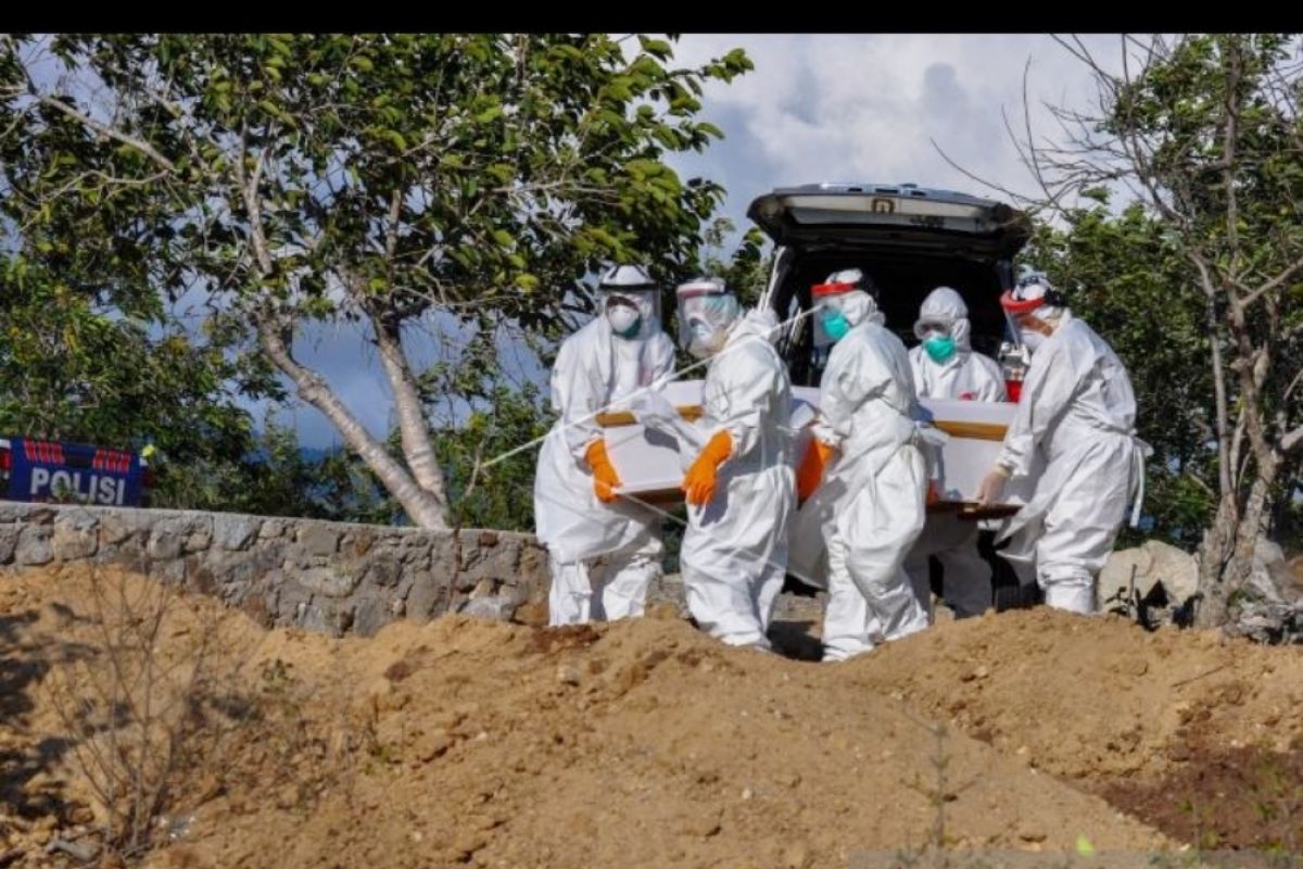 25 orang sembuh, 4 meninggal dari 115 positif COVID-19 di Sulteng