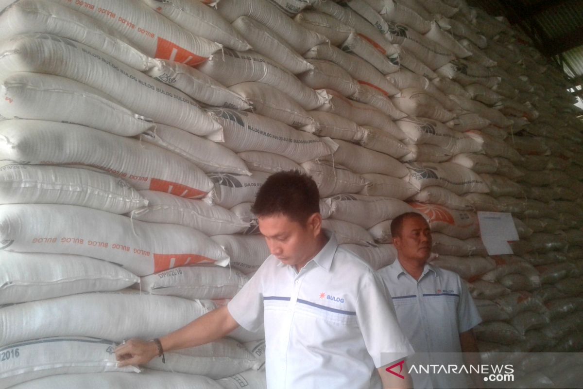 Bulog Rejang Lebong serap 1.600 ton beras petani