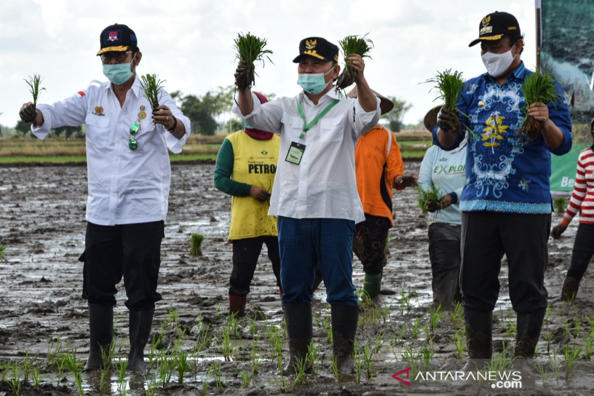 Mentan pastikan program cetak sawah tak rusak lingkungan