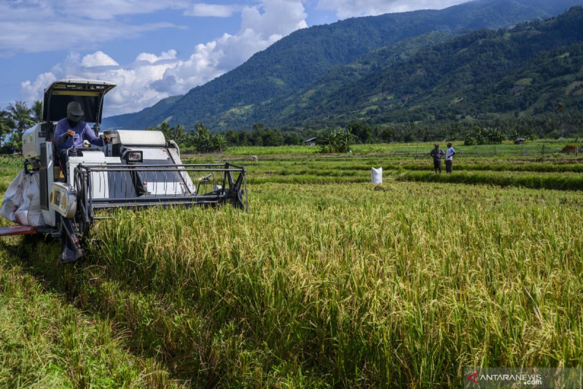 Legislator minta pemerintah perhatikan ketahanan pangan masyarakat