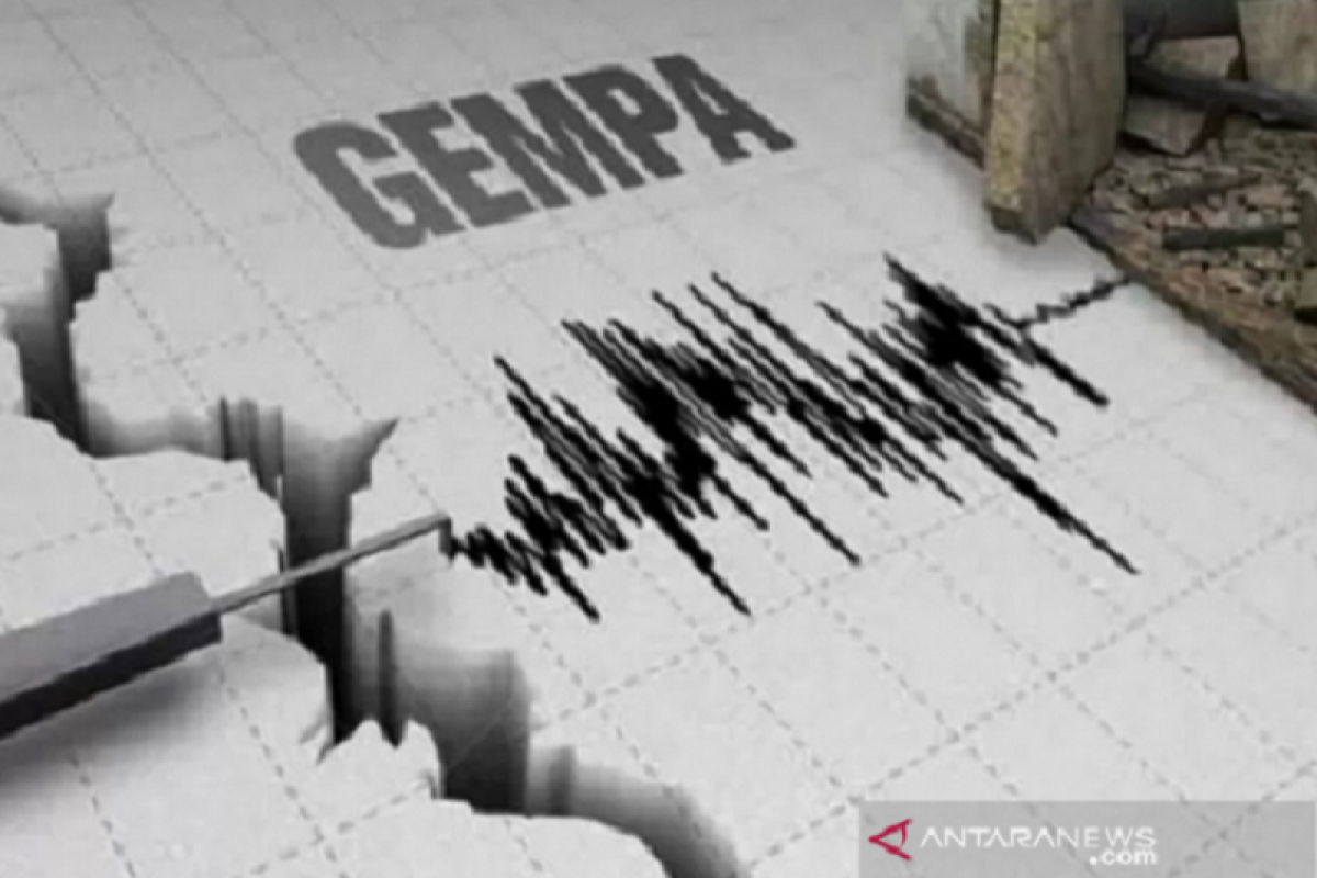 Gempa tektonik magnitudo 5,5 guncang Maluku Barat Daya