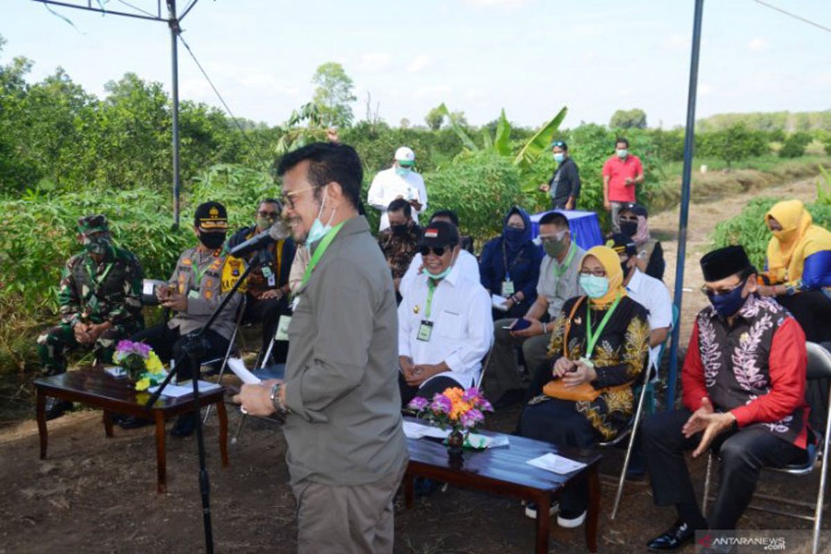 Minister offers optimization concept for Batola agricultural acceleration