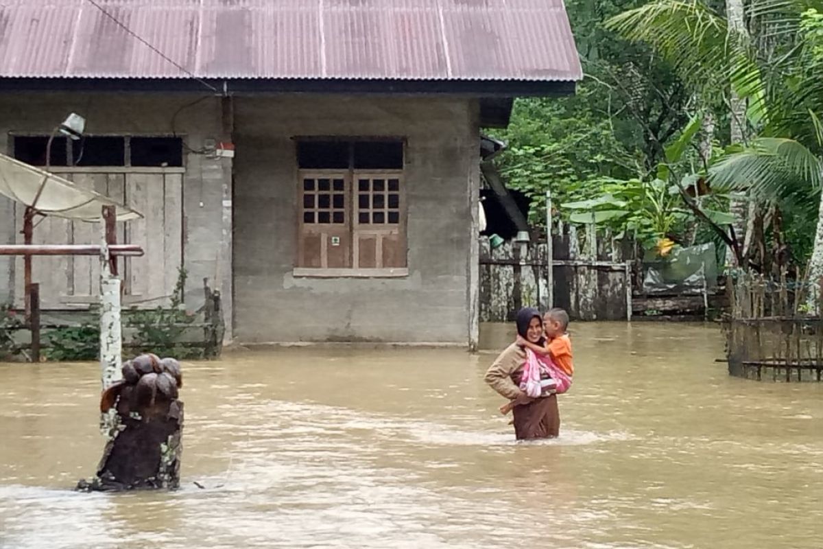 Floods submerge 292 homes in Aceh Jaya District