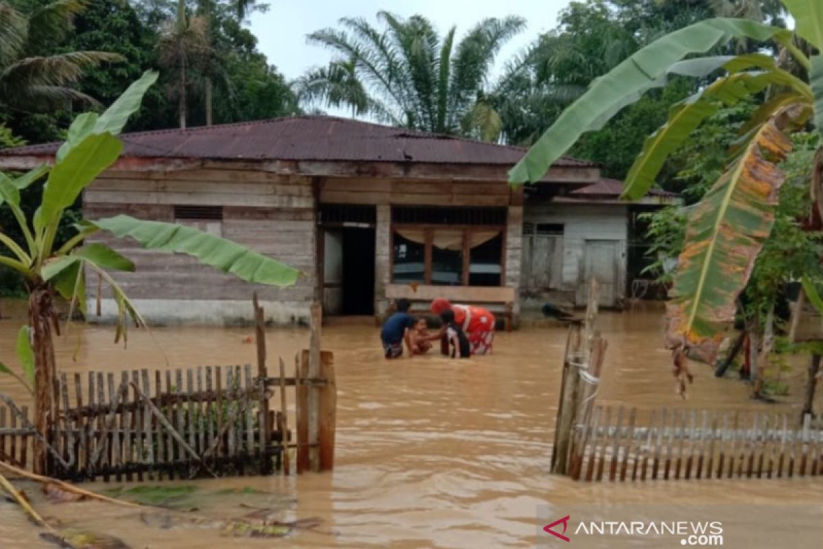 143 warga mengungsi akibat luapan banjir di Aceh Timur