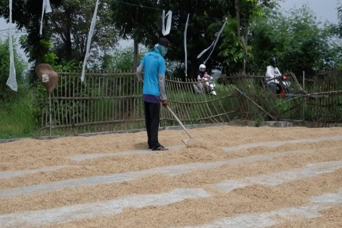 Pemkot Pekalongan jamin stok beras masih aman hingga Lebaran