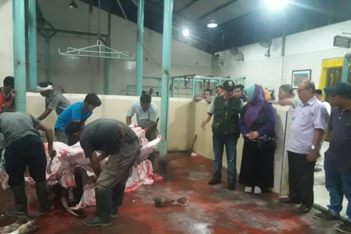 Ketersediaan daging sapi dan kerbau di Banten jelang Idul Fitri 1441 cukup