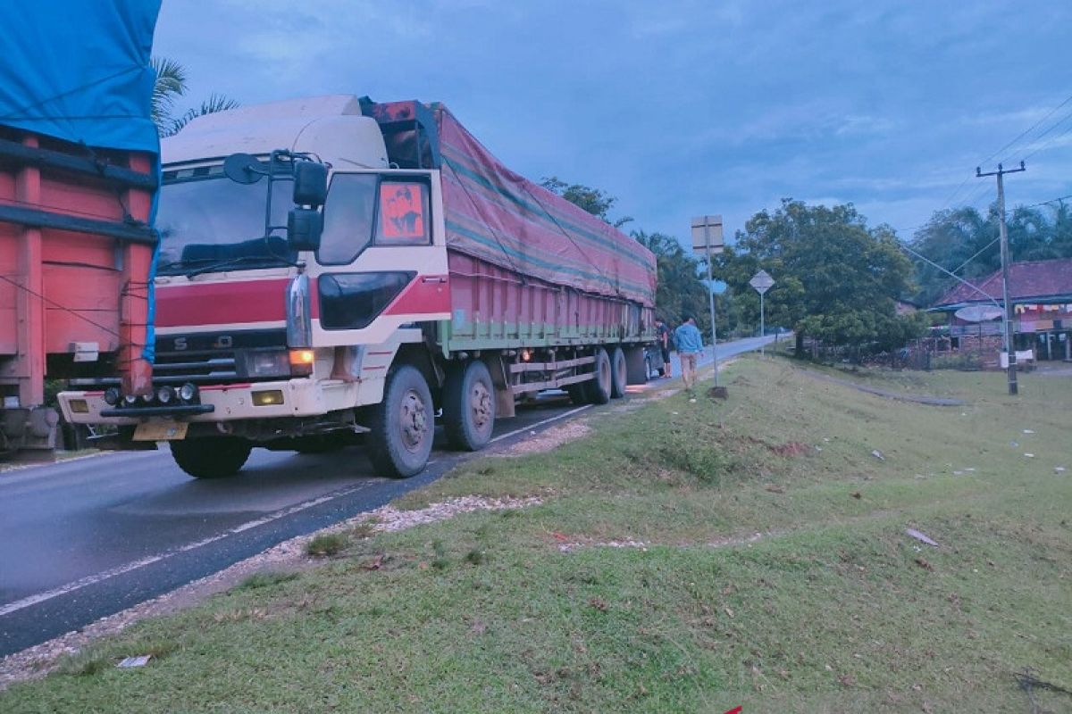 Dua truk bermuatan kayu ilegal diduga hasil perambahan hutan diamankan Polda Jambi