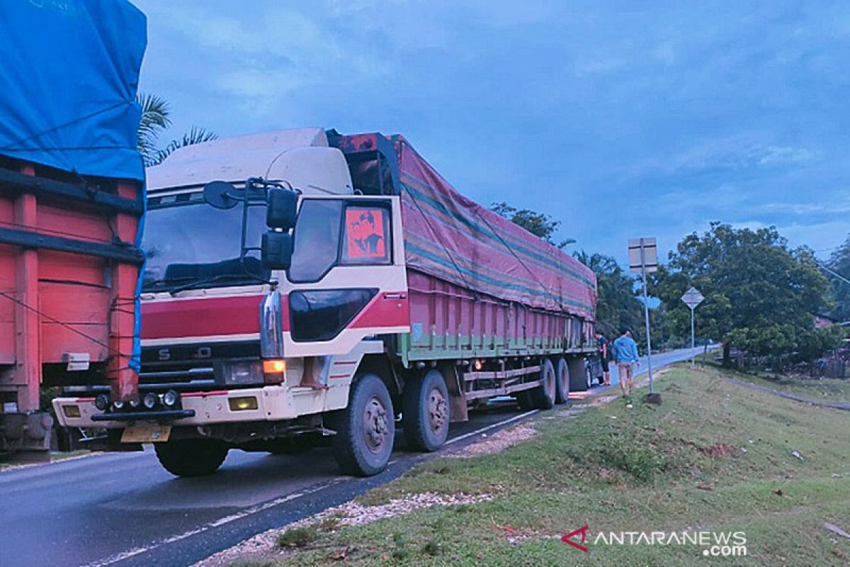 Ditreskrimsus Polda Jambi amankan dua truk bermuatan kayu ilegal