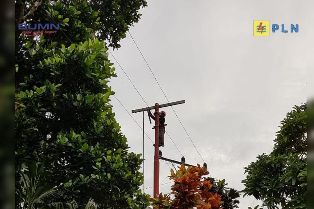 Petugas PLN kembali lakukan catat meter ke rumah pelanggan