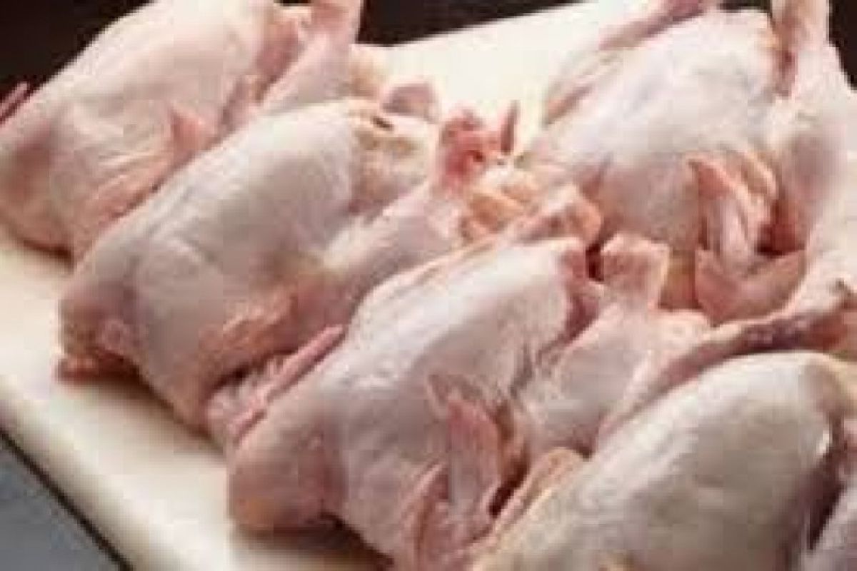 Harga daging ayam di Jayapura bervariasi