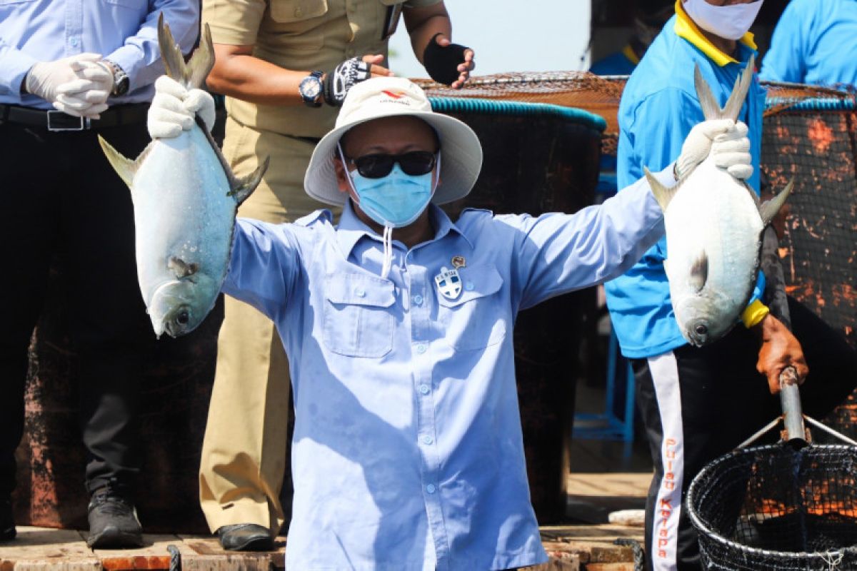Menteri Edhy: KKP-Pemda tingkatkan sinergi serap ikan untuk bansos