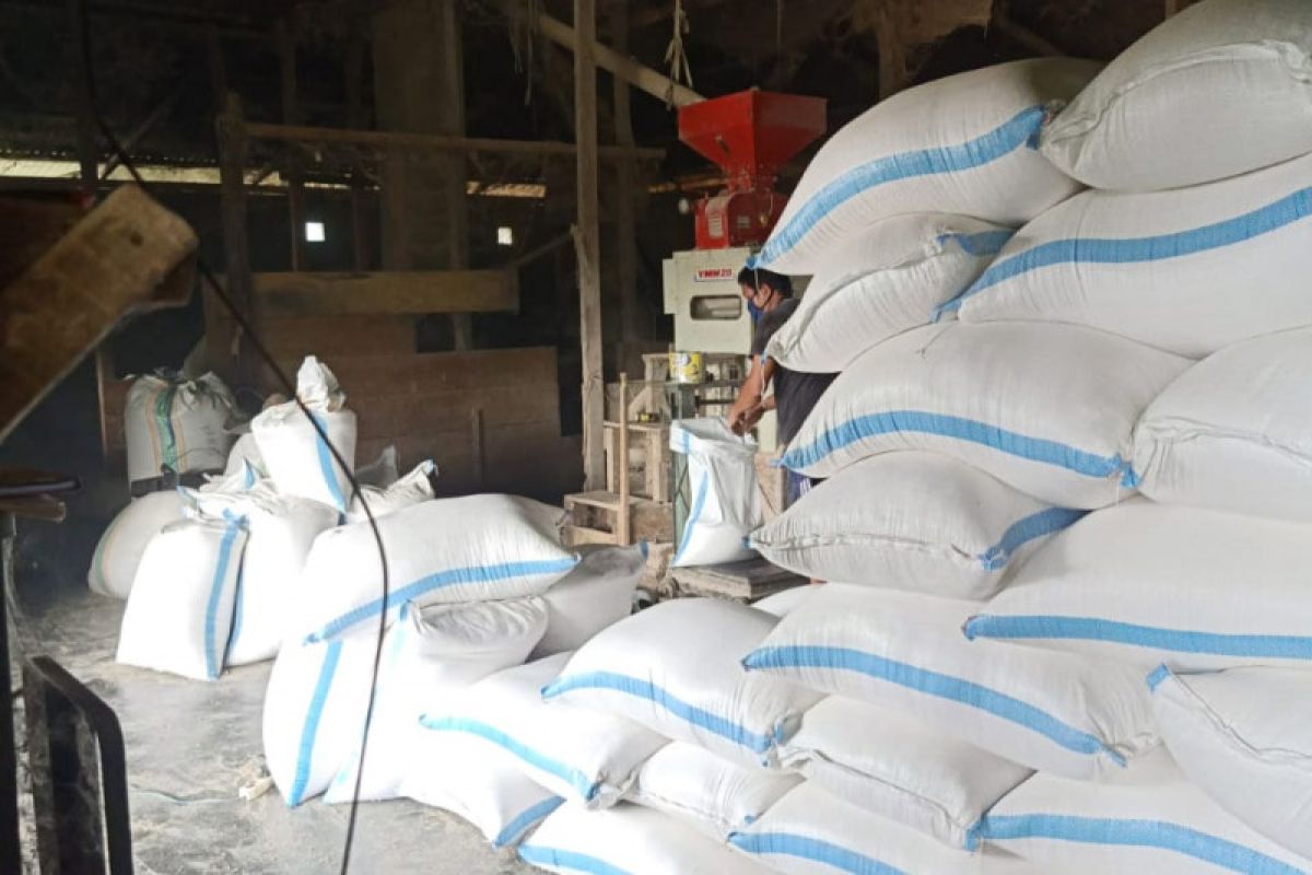 Petani di Poso kesulitan pasarkan produk berasnya