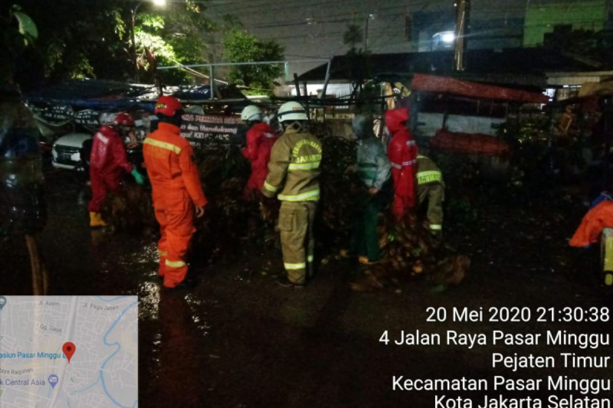 Pohon tumbang di Jaksel timpa tiang listrik hingga rubuh